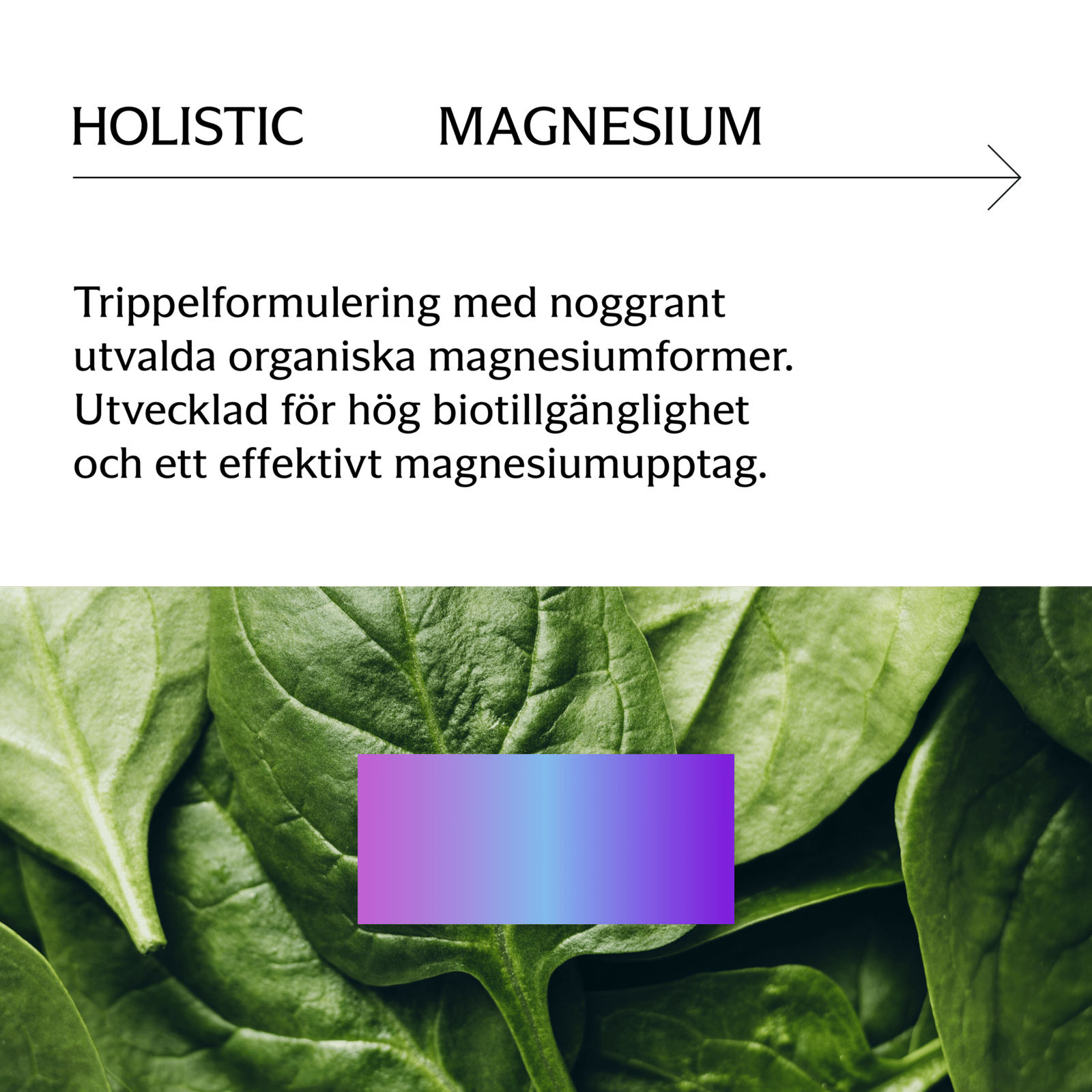 Holistic Magnesium Komplex 120mg 90 vegetabiliska kapslar