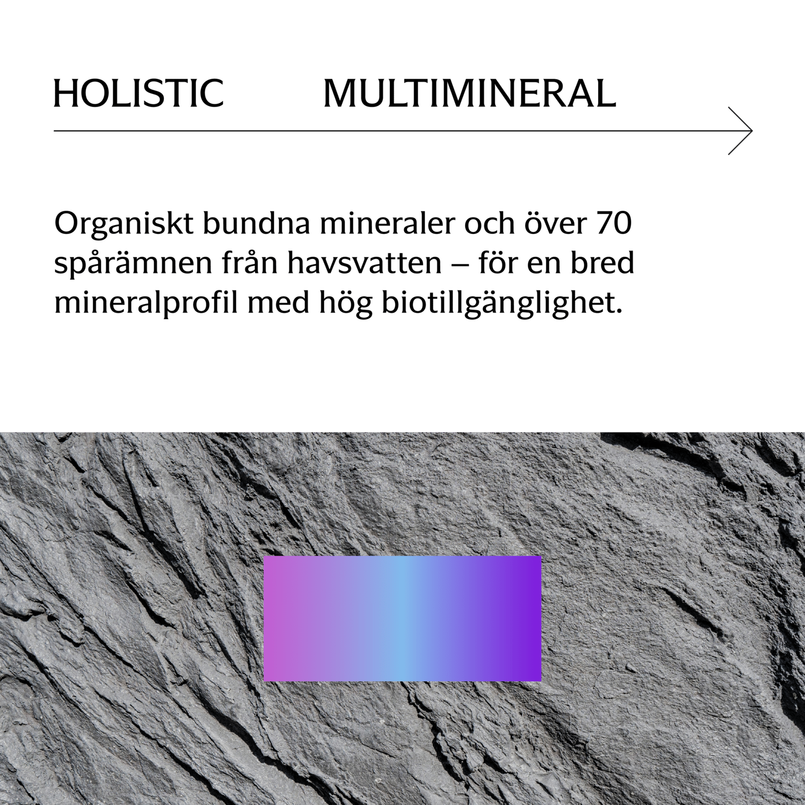 Holistic Multimineral 90 kapslar