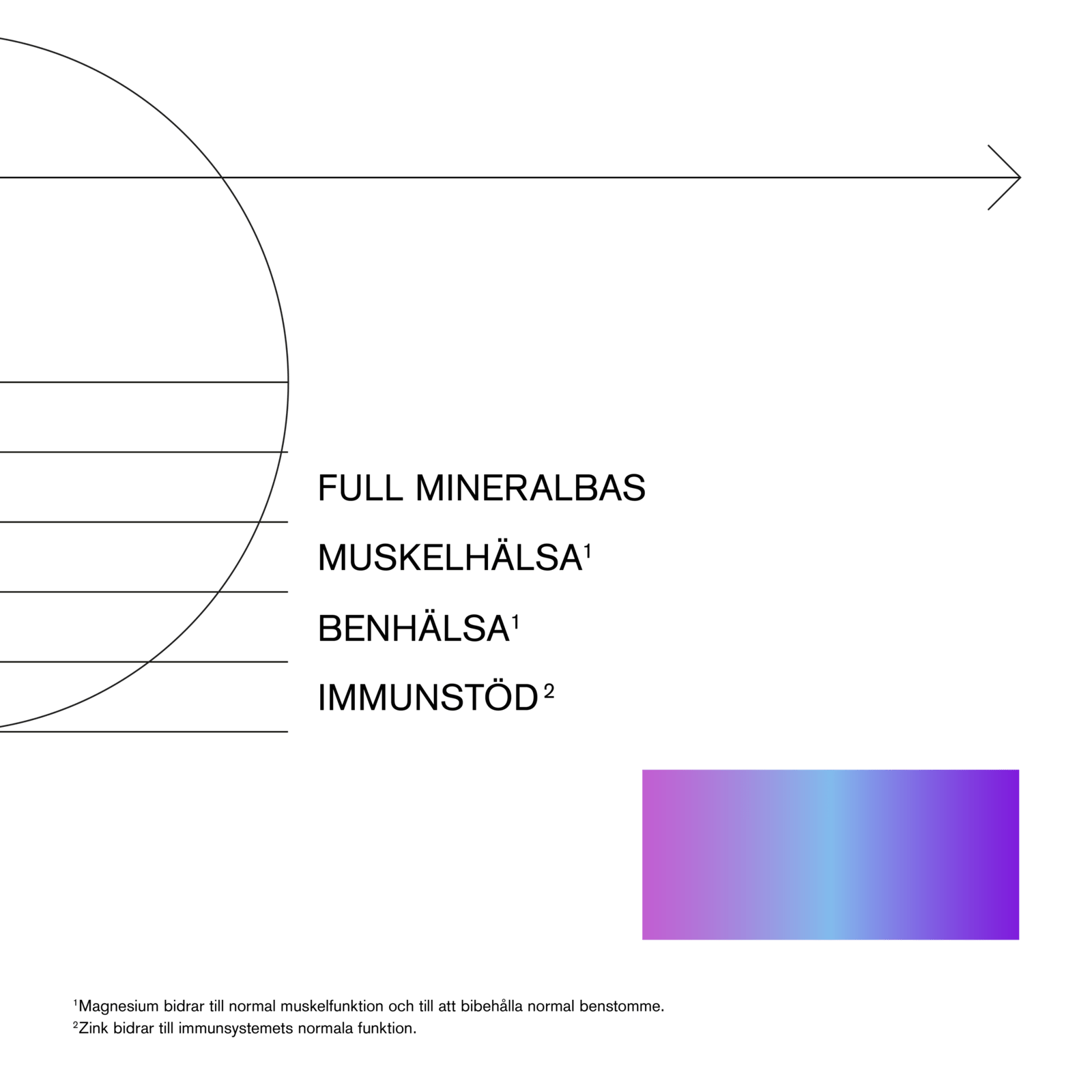 Holistic Multimineral 90 kapslar