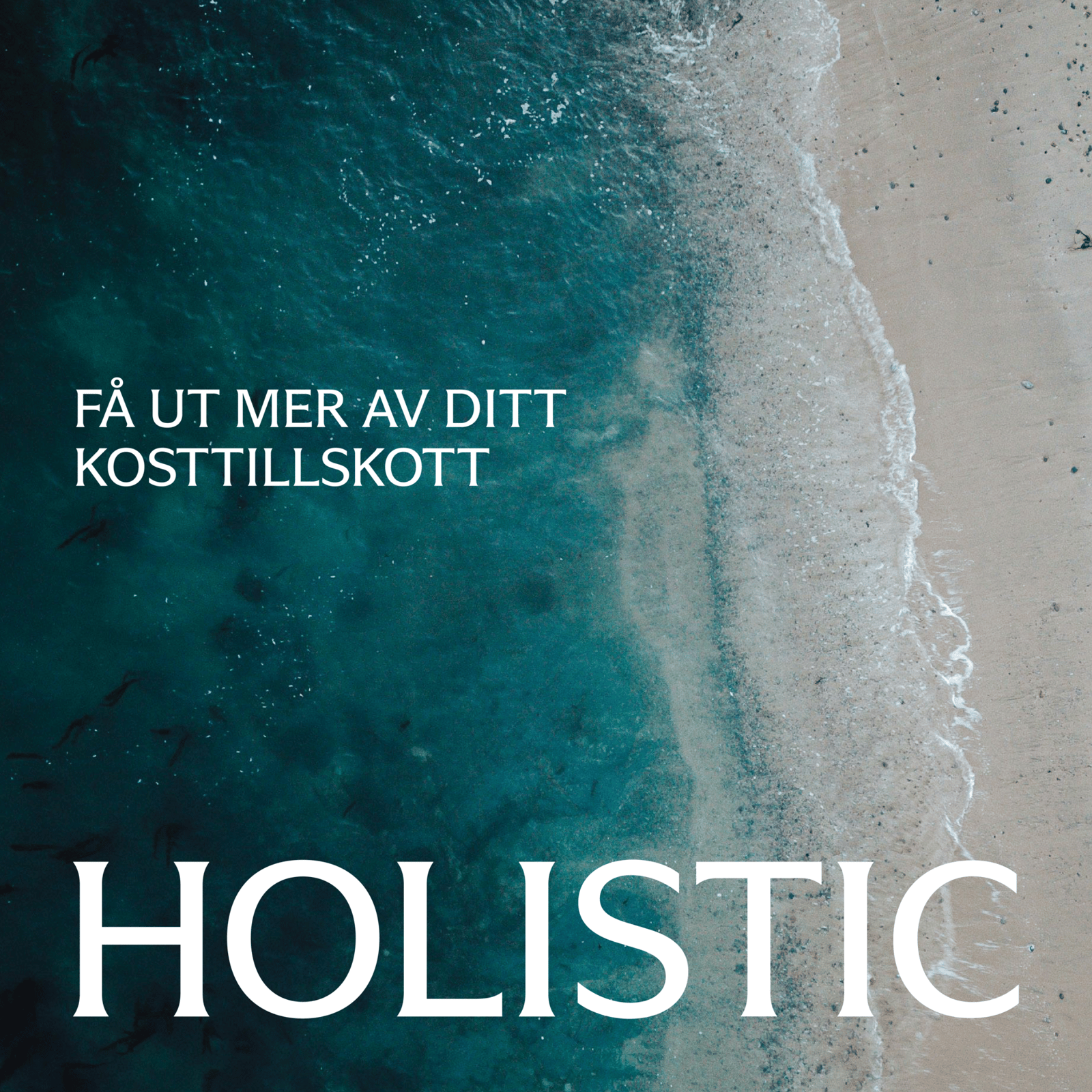 Holistic Multivitamin 90 vegetabiliska kapslar