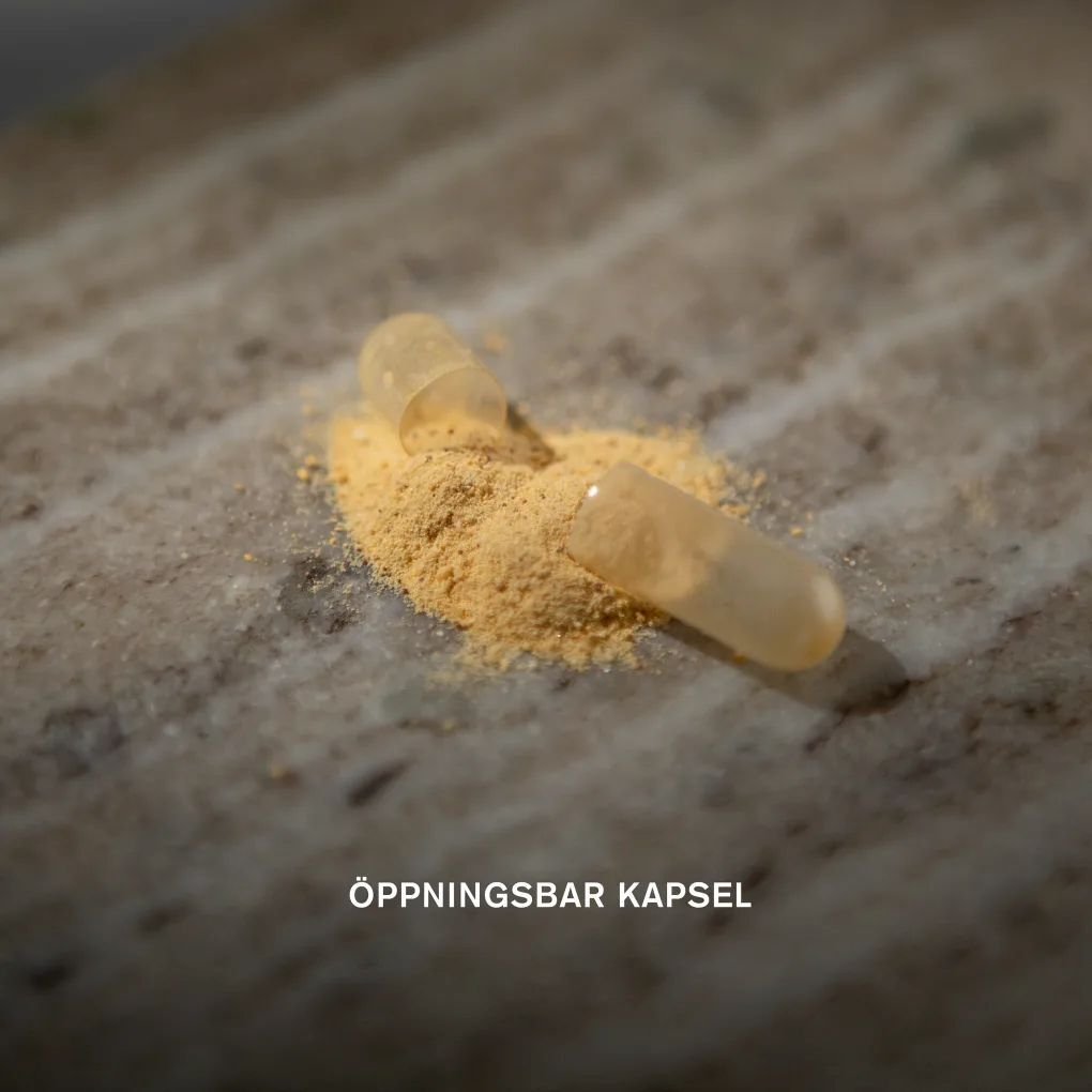 Holistic Sömnbalans 60 kapslar