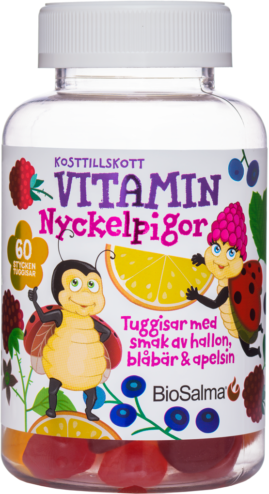 BioSalma Nyckelpiga Multivitamin 60 st