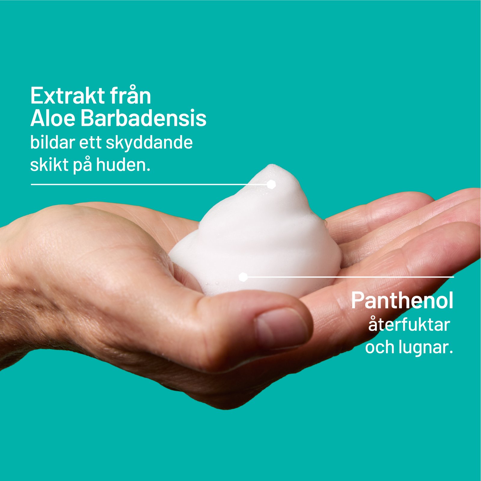 Locobase Itch Relief Coolmousse 100 ml