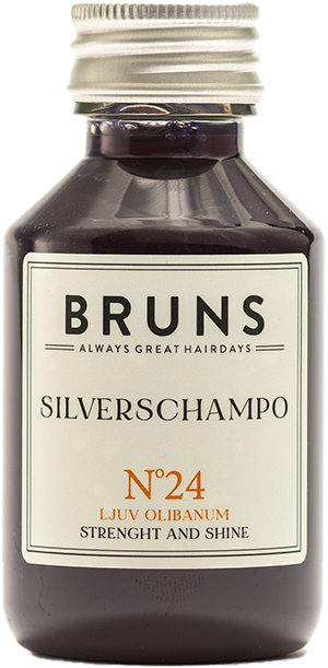 BRUNS Silverschampo Nº24 100 ml