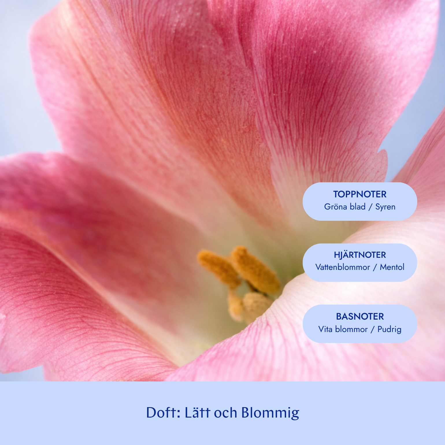 By Veira Volume Shampoo 300 ml