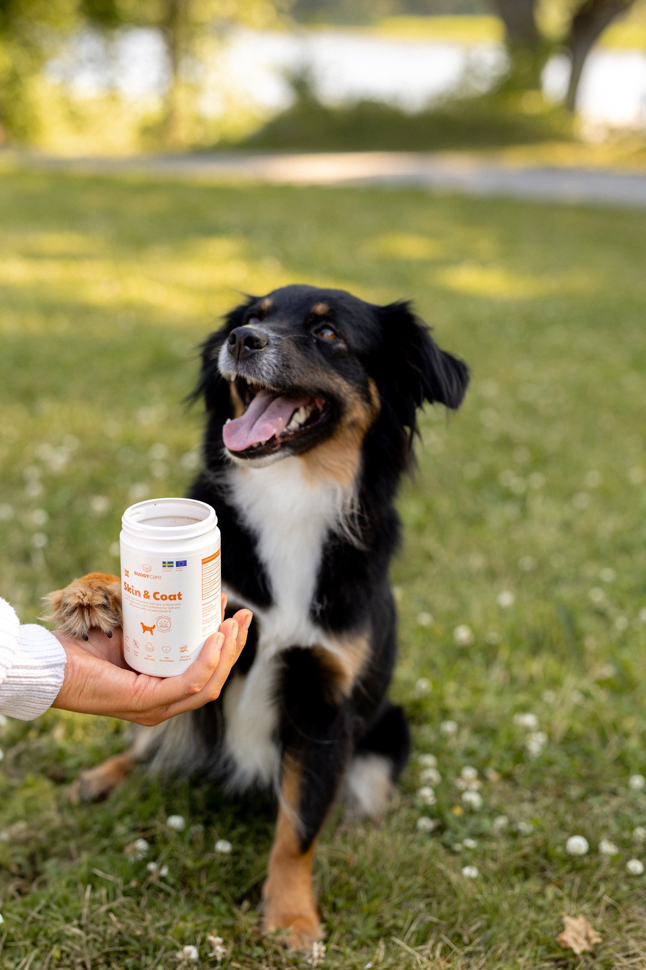 Buddy Care Skin & Coat 150g