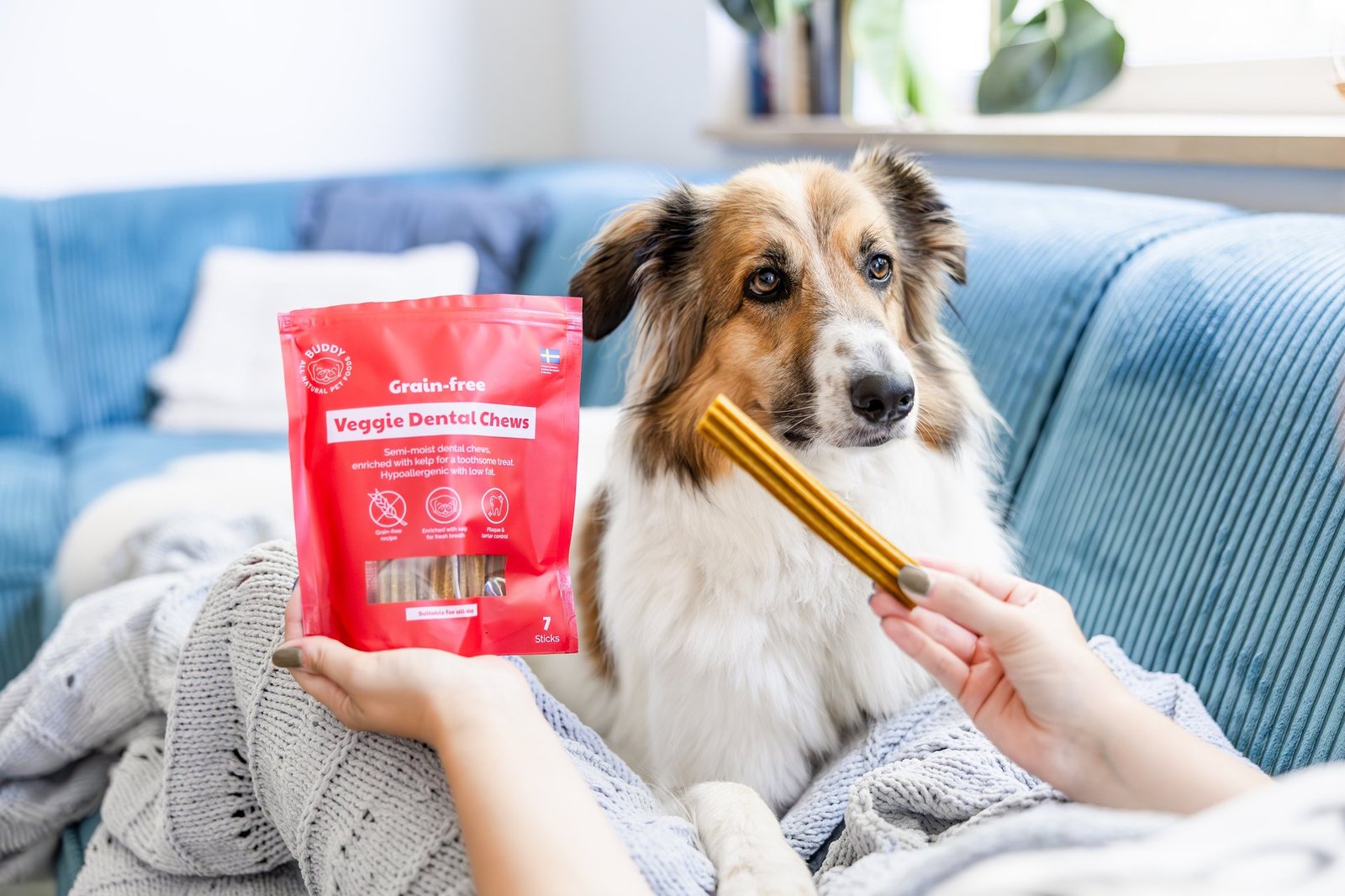 Buddy Care Grain-free Veggie Dental Chew 250g