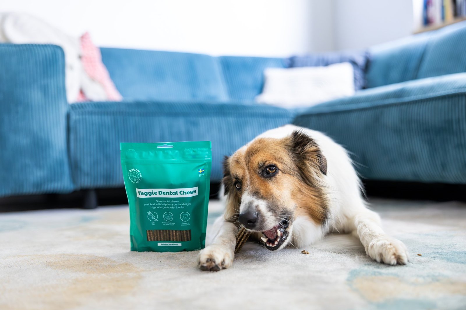 Buddy Care Veggie Dental Chew 250g