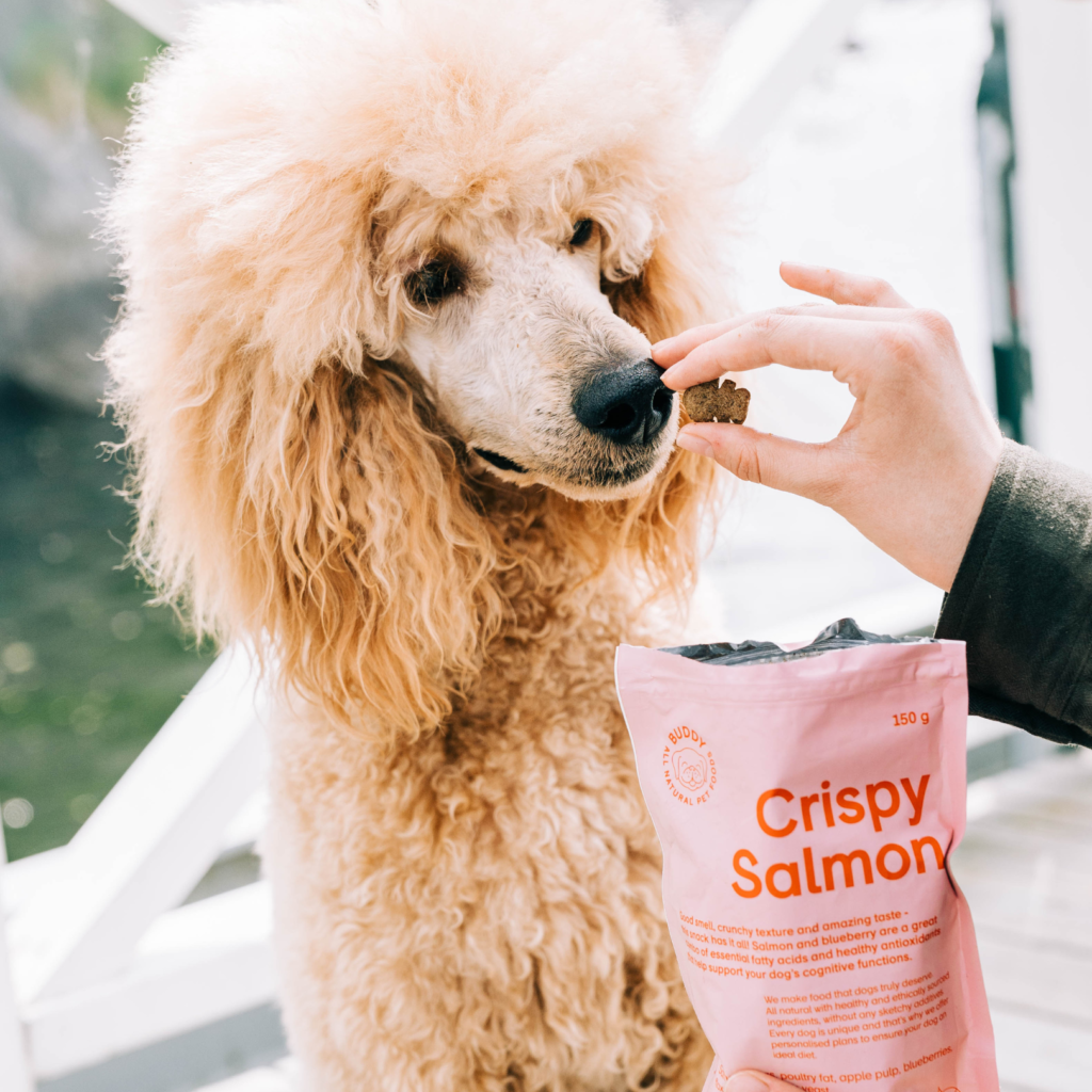 BUDDY Crispy Salmon Hundgodis 150 g