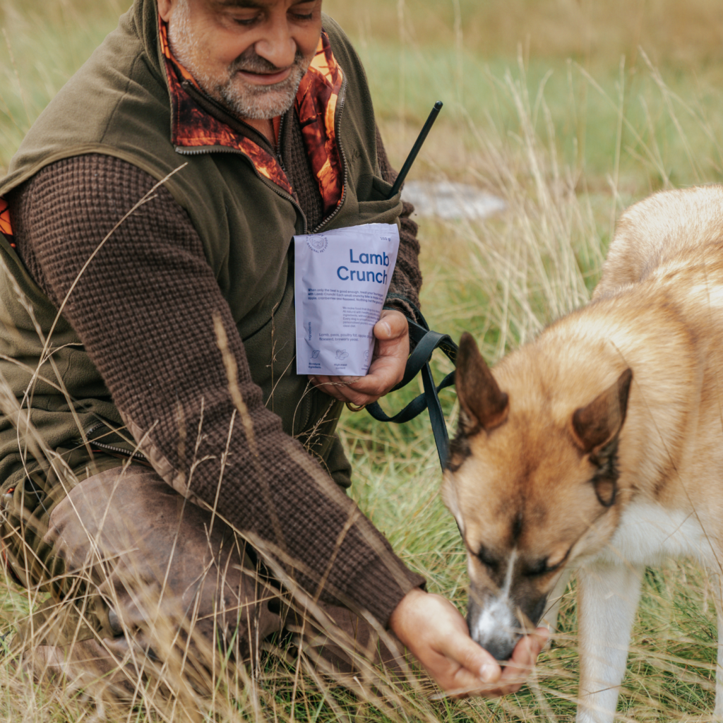 BUDDY Lamb Crunch Hundgodis 150 g