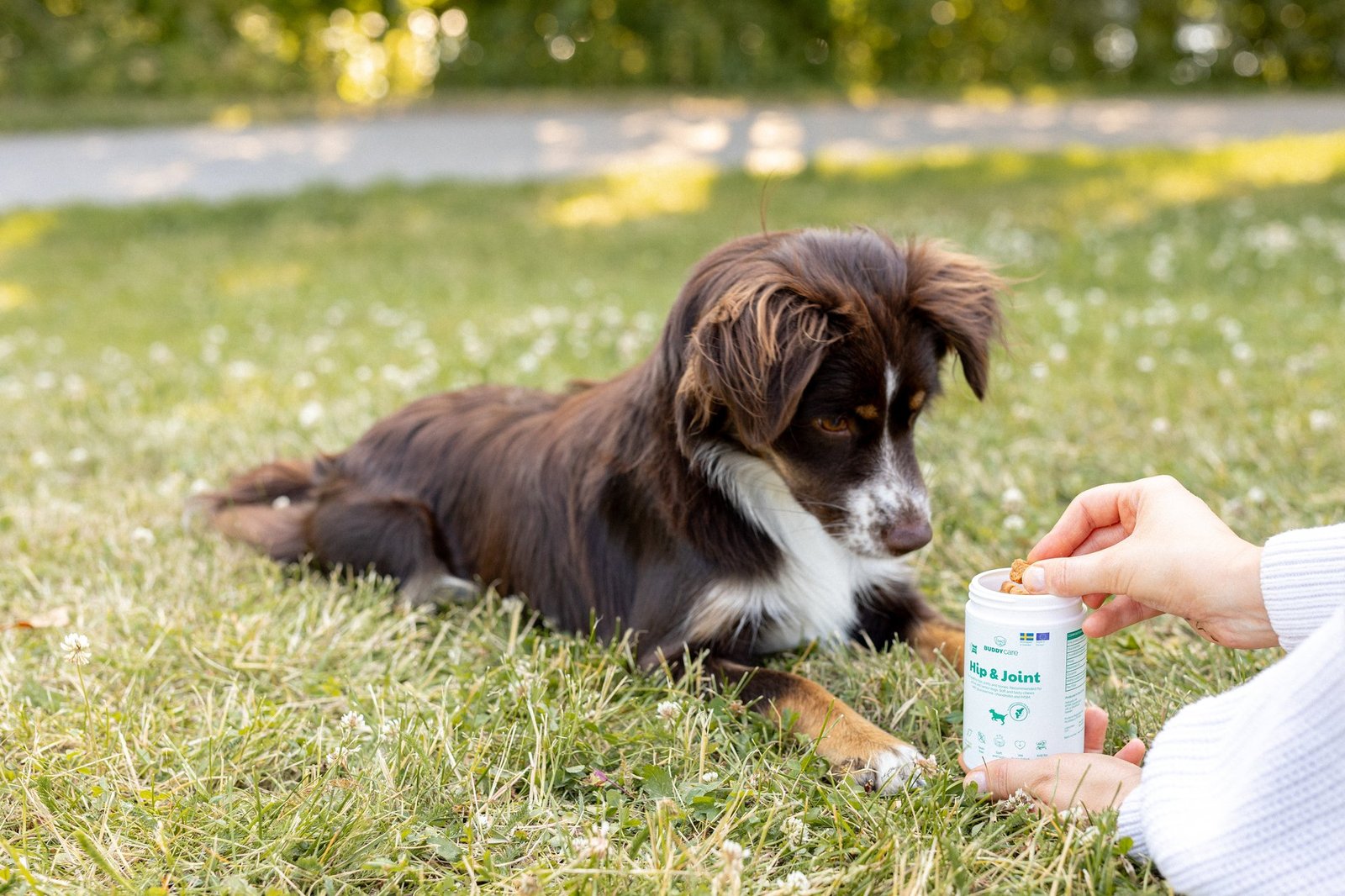 Buddy Care Hip & Joint 150g