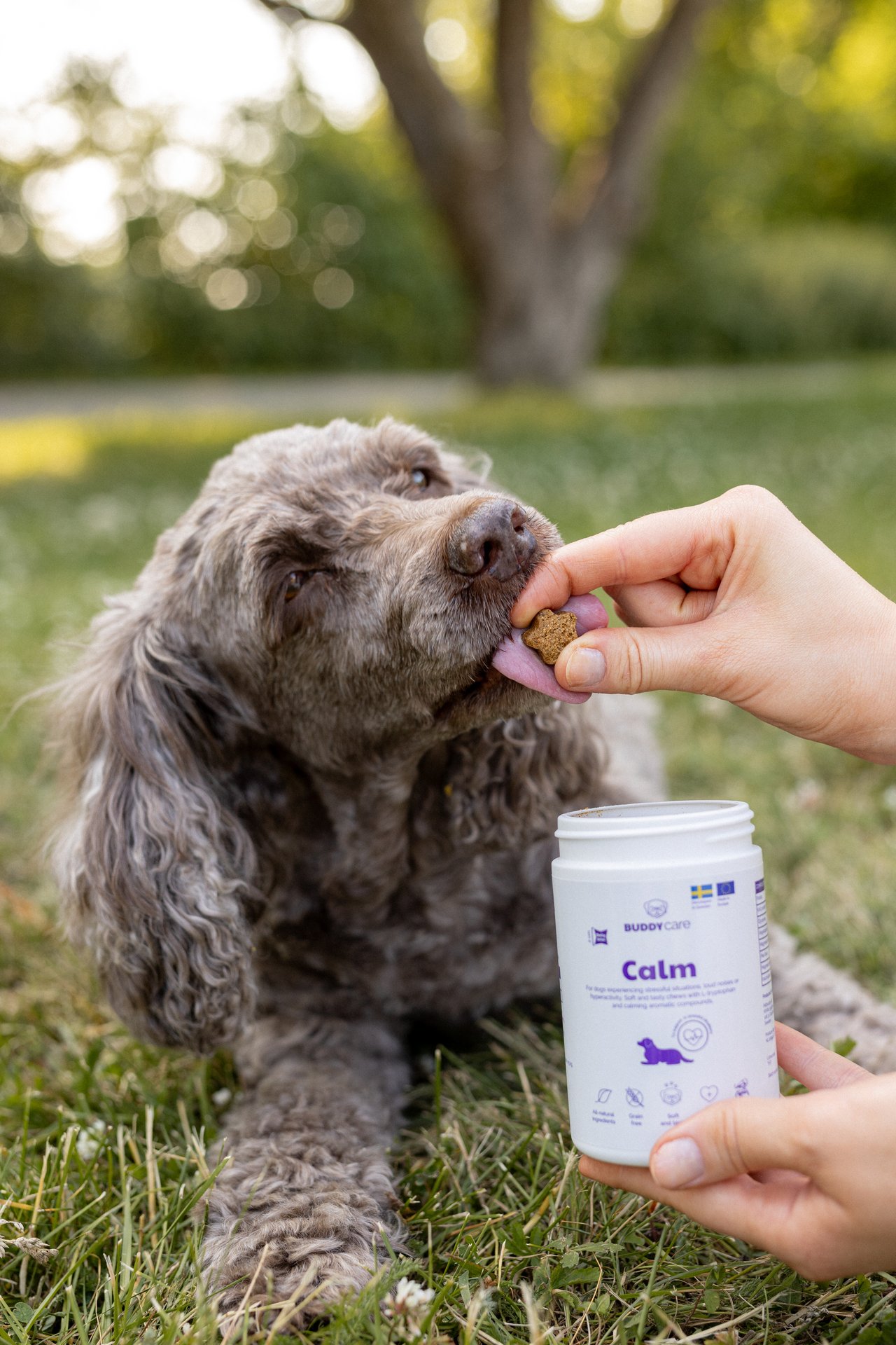 Buddy Care Calm 150g