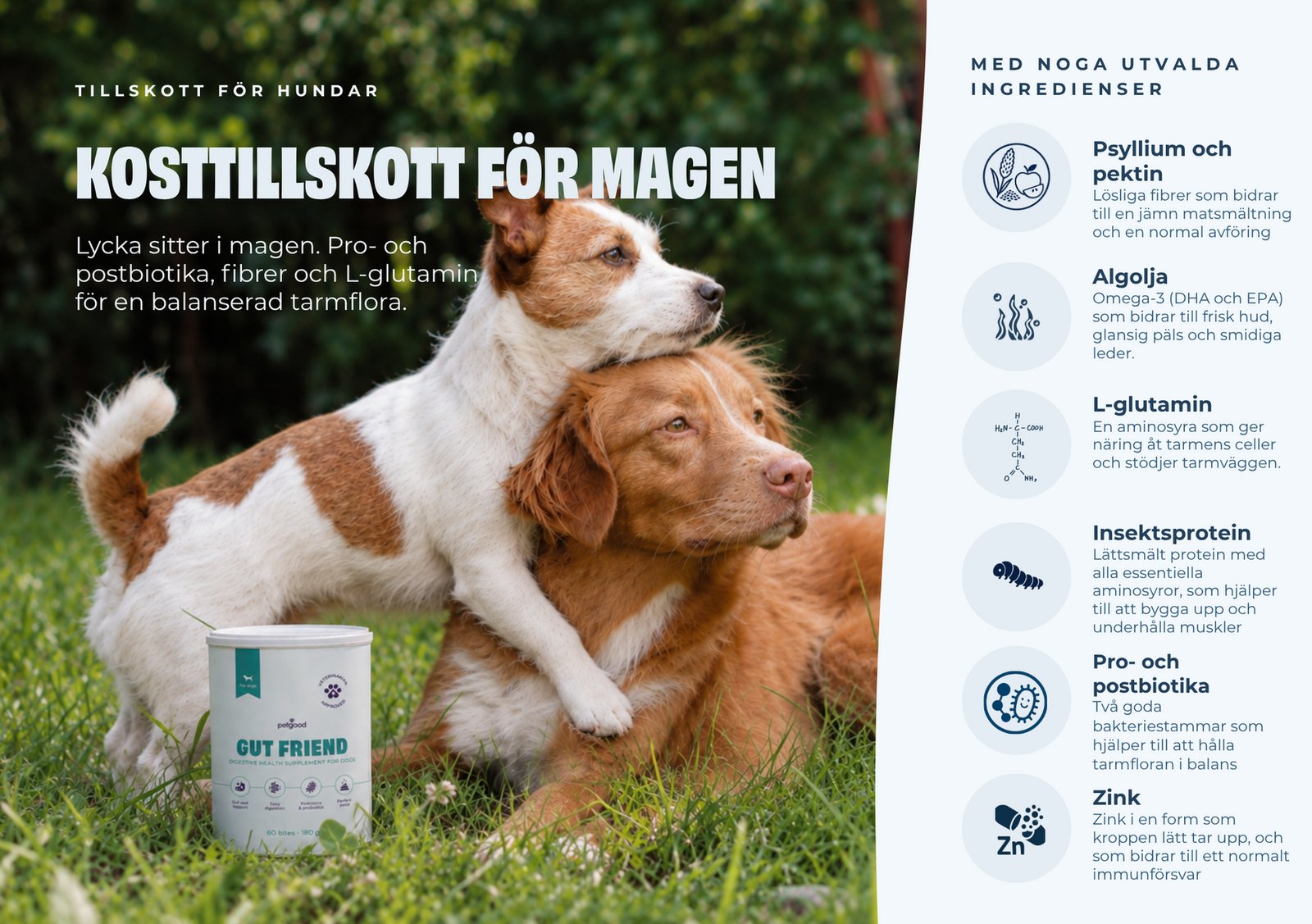Petgood Gut Friend Insektsbaserat Kosttillskott För Hundar