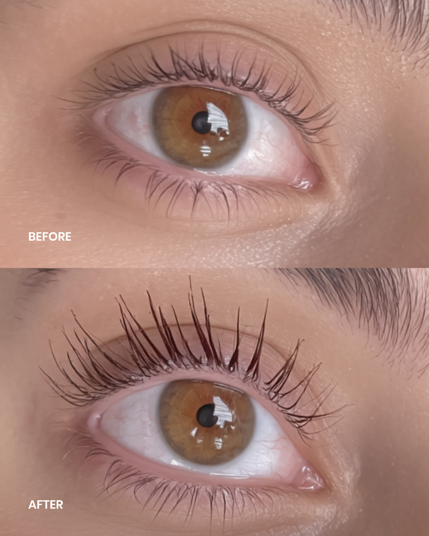 LENOITES Eyelash Growth Serum 5 ml