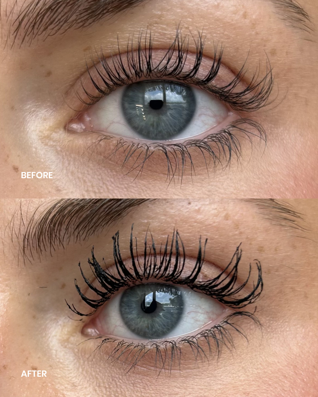 LENOITES PowerLash Growth Serum Mascara Black 8 ml