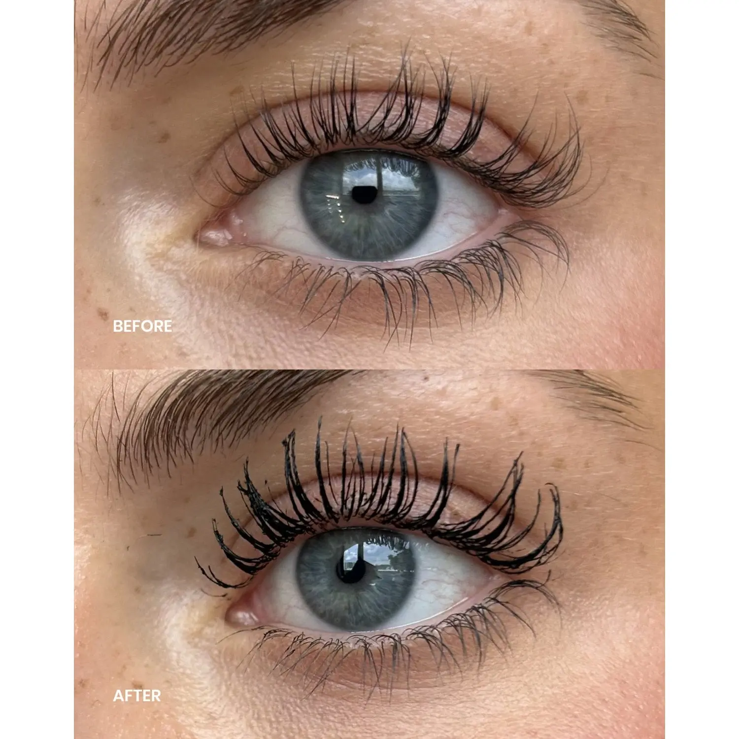 Lenoites Complete Lash Kit Brown
