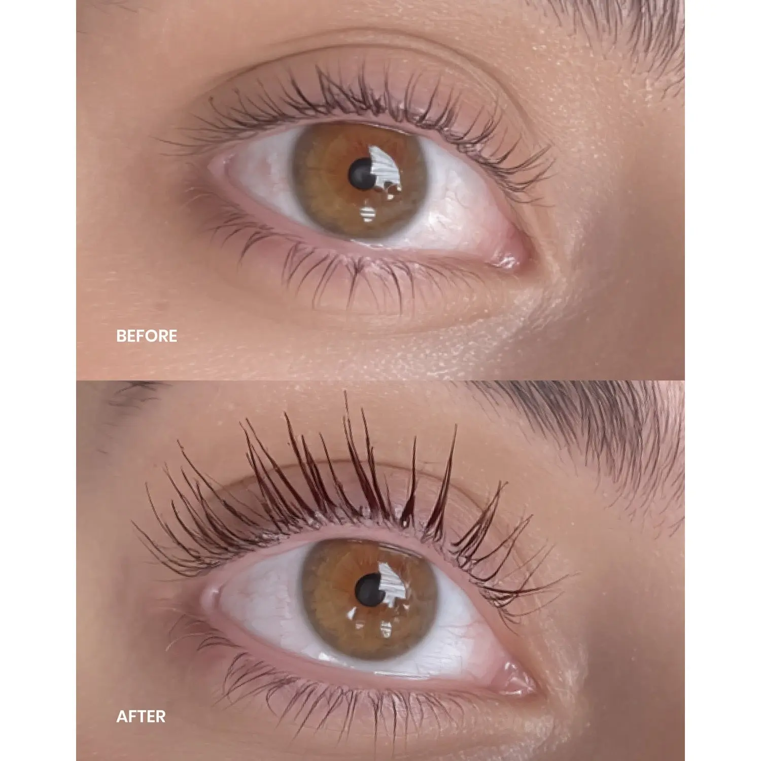 Lenoites Complete Lash Kit Brown