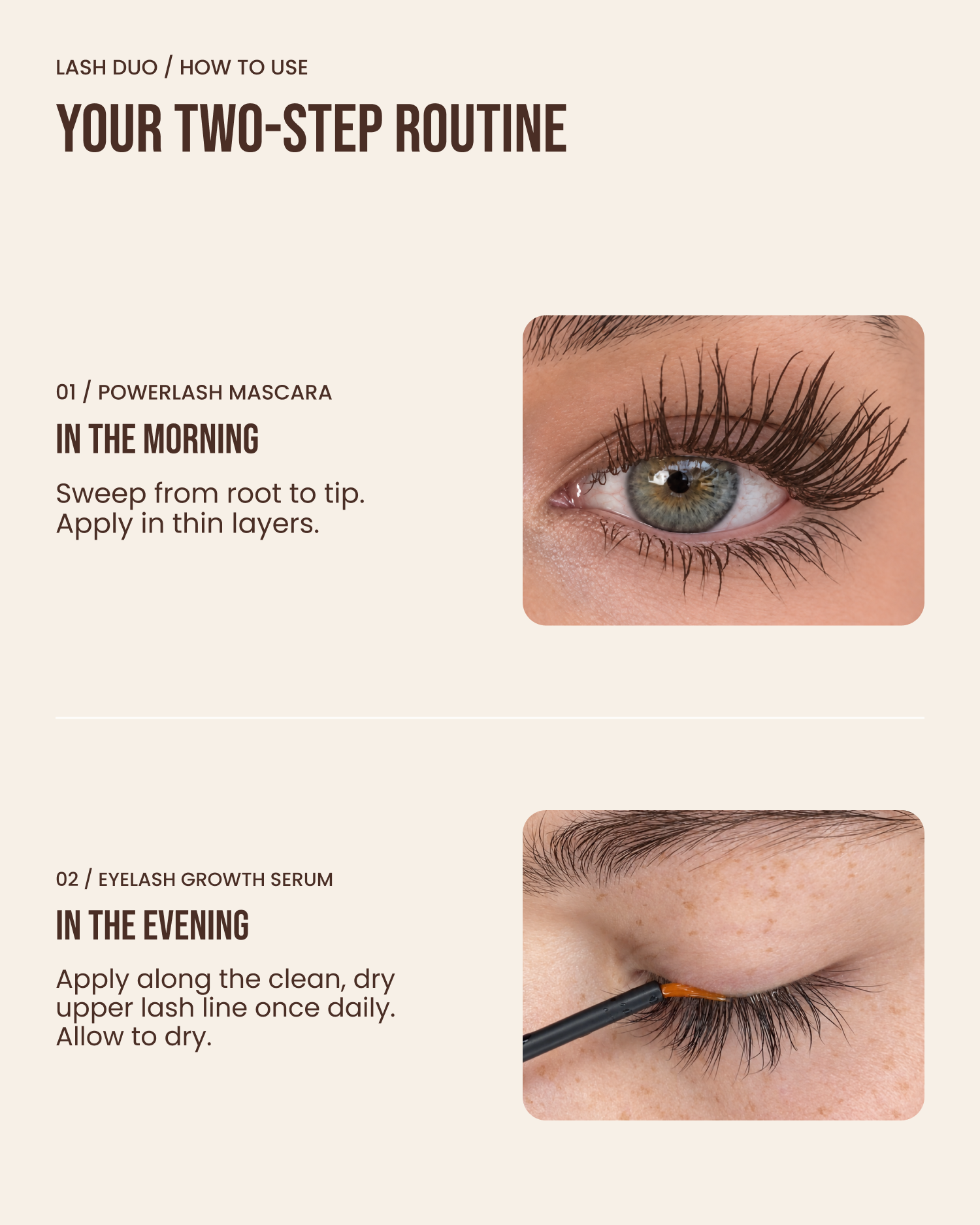 Lenoites Lash Duo Brown