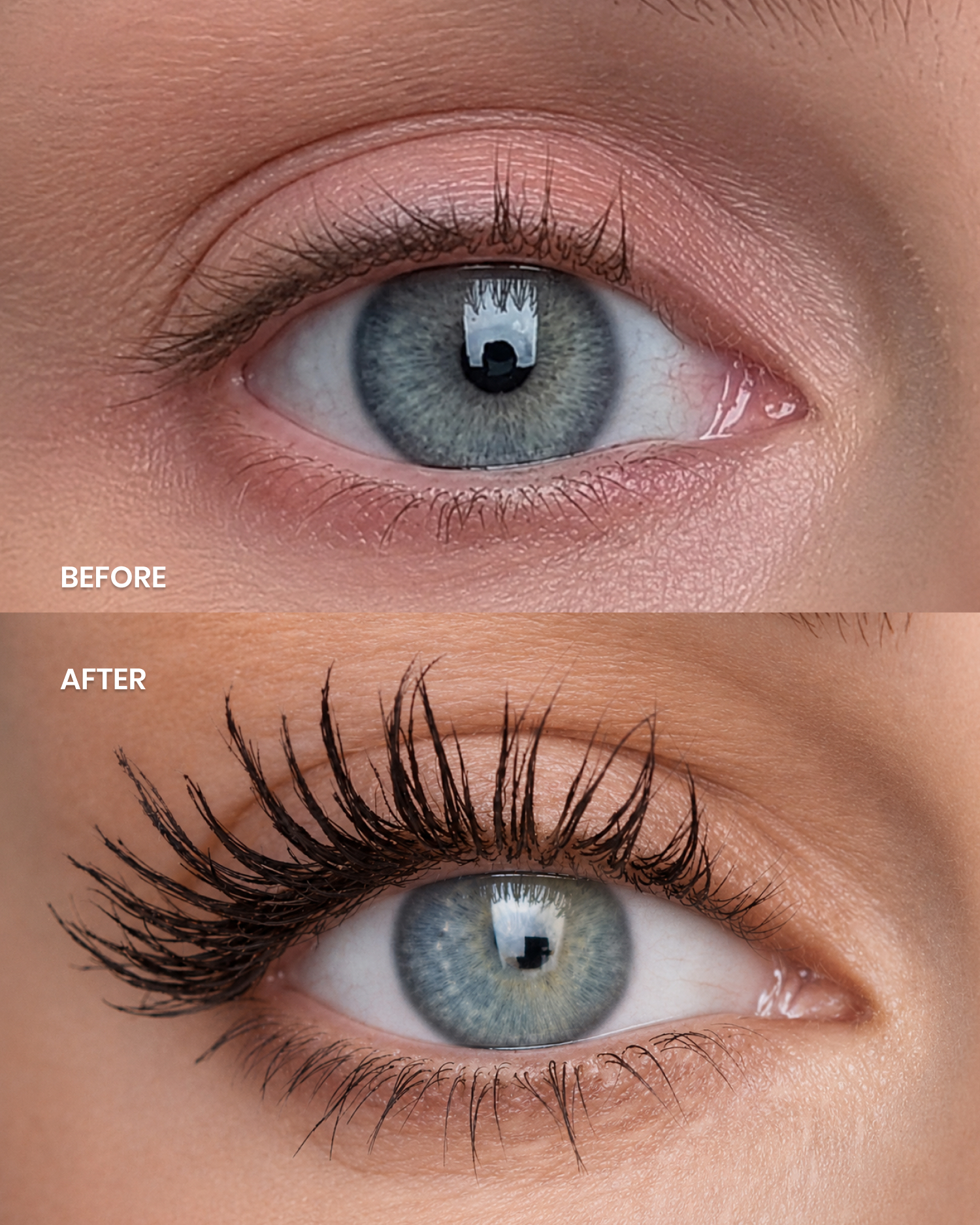 Lenoites LashSculpt Serum Infused Mascara Brown