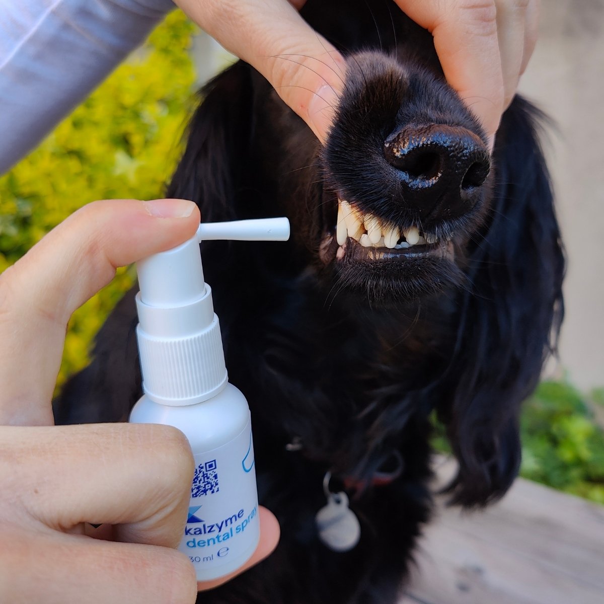 Kalzyme Dental Spray 30 ml