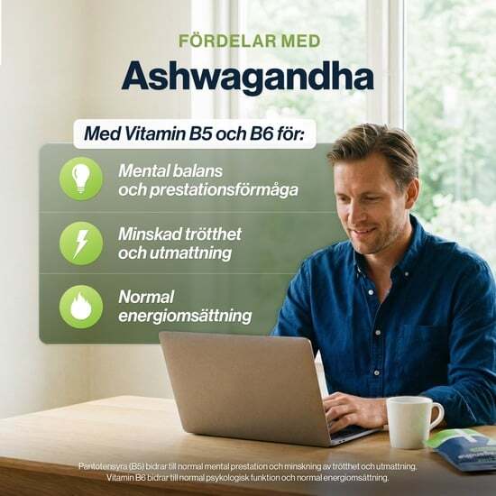 4 HIM & HER Ashwagandha 90 kapslar - rotextrakt med B5 & B6