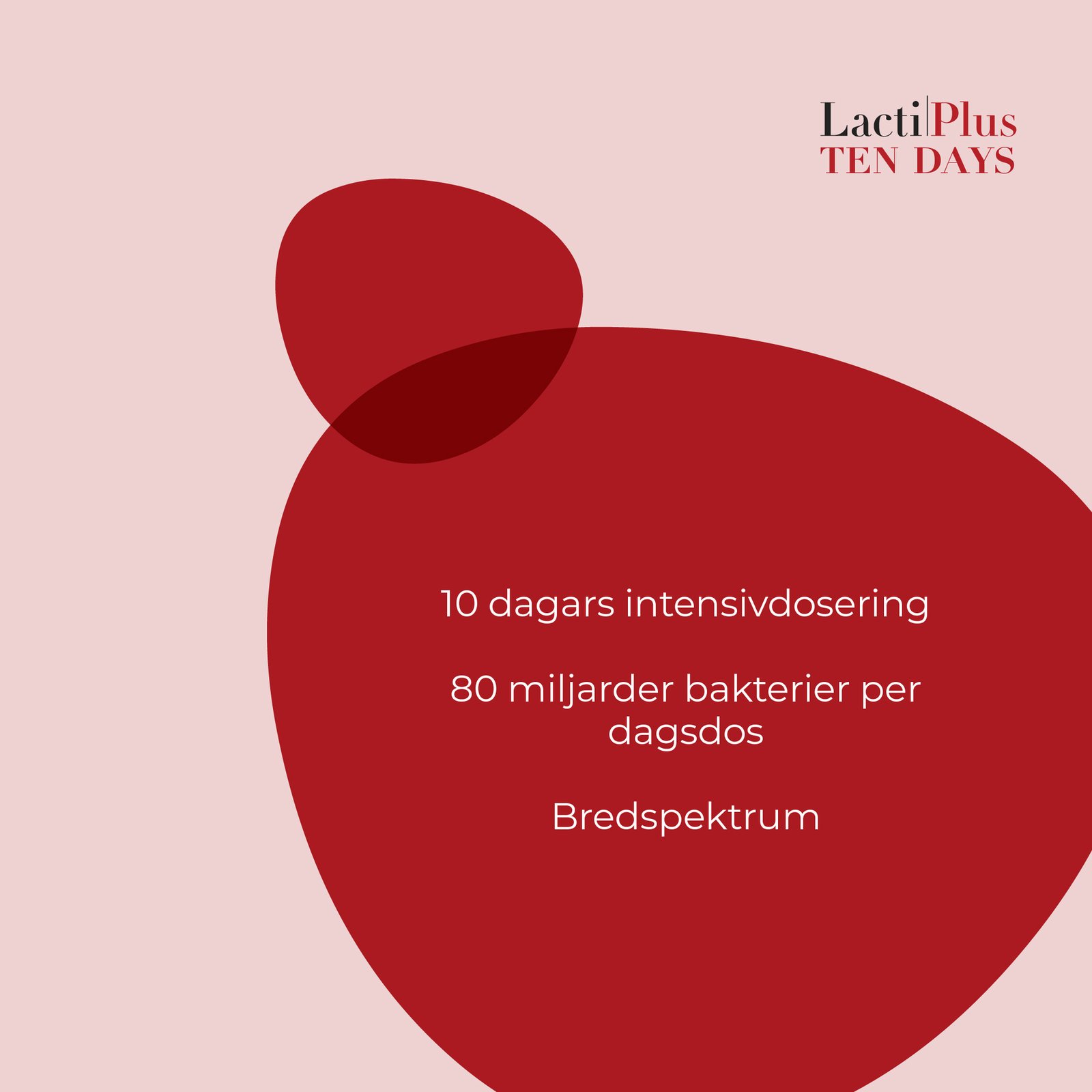 LactiPlus Ten Days Mjölksyrabakterier 20 st