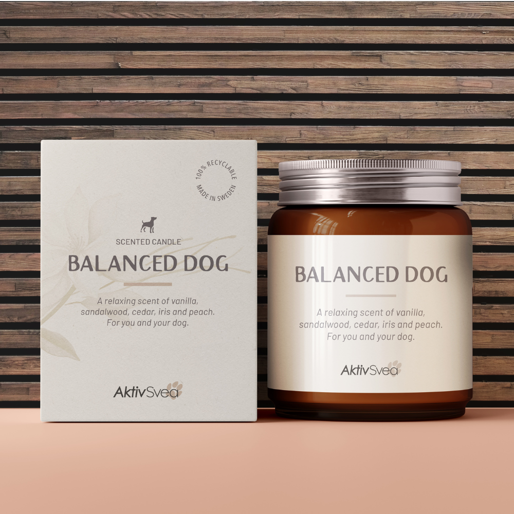 AktivSvea Doftljus Balanced Dog 150g