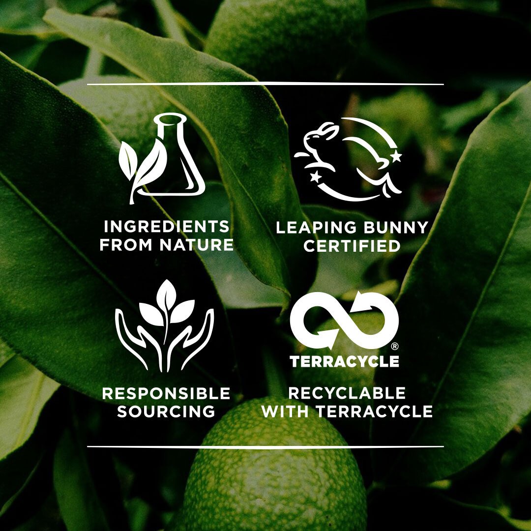 Burt's Bees Milk & Honey Body Lotion 170 g