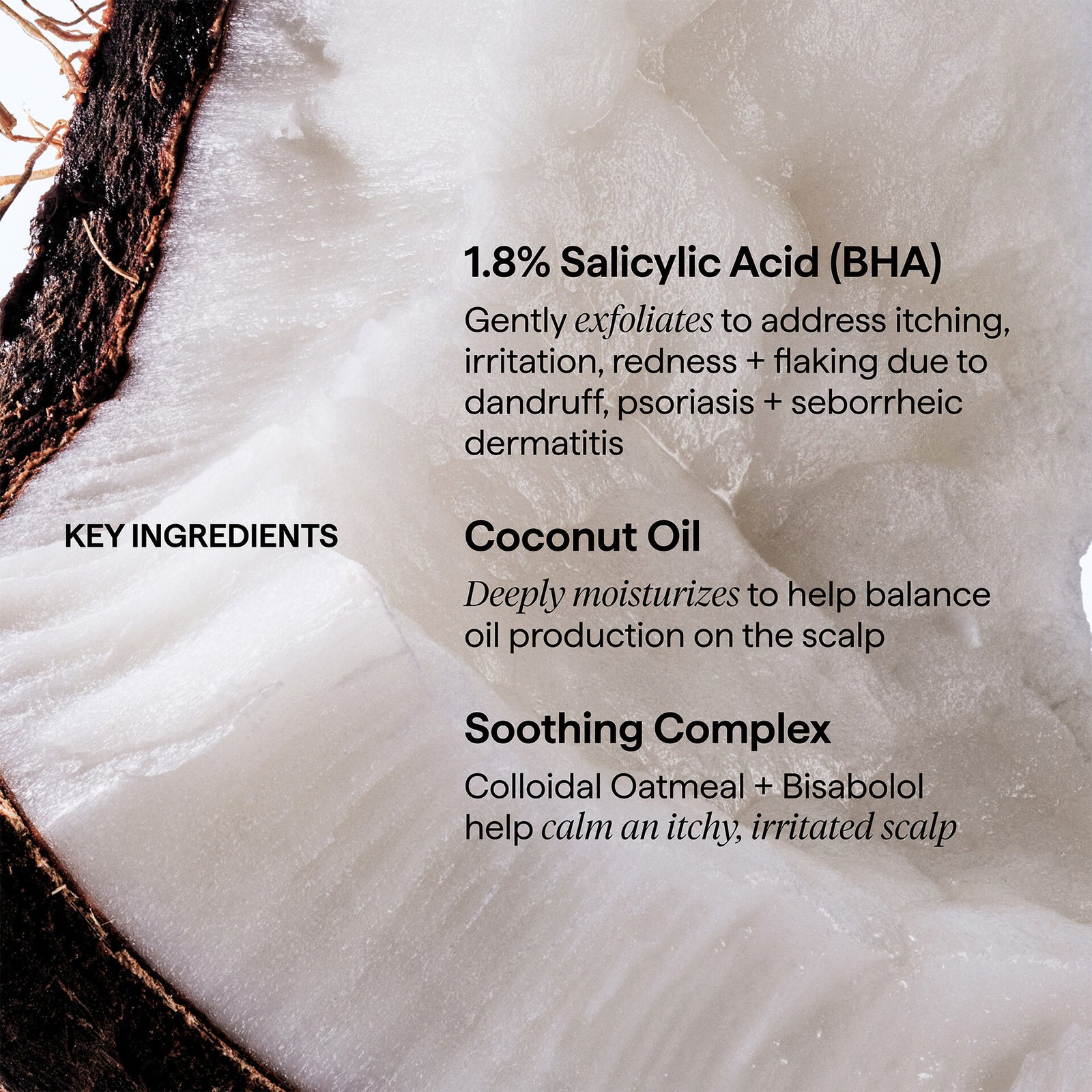Briogeo Scalp Revival™ Dandruff Relief Conditioner 248 ml