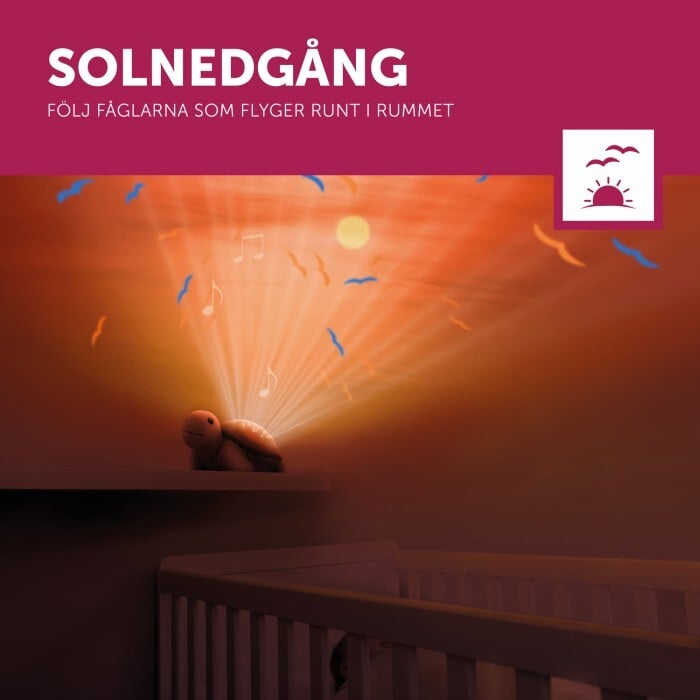 Tim the Turtle Speldosa/Nattlampa