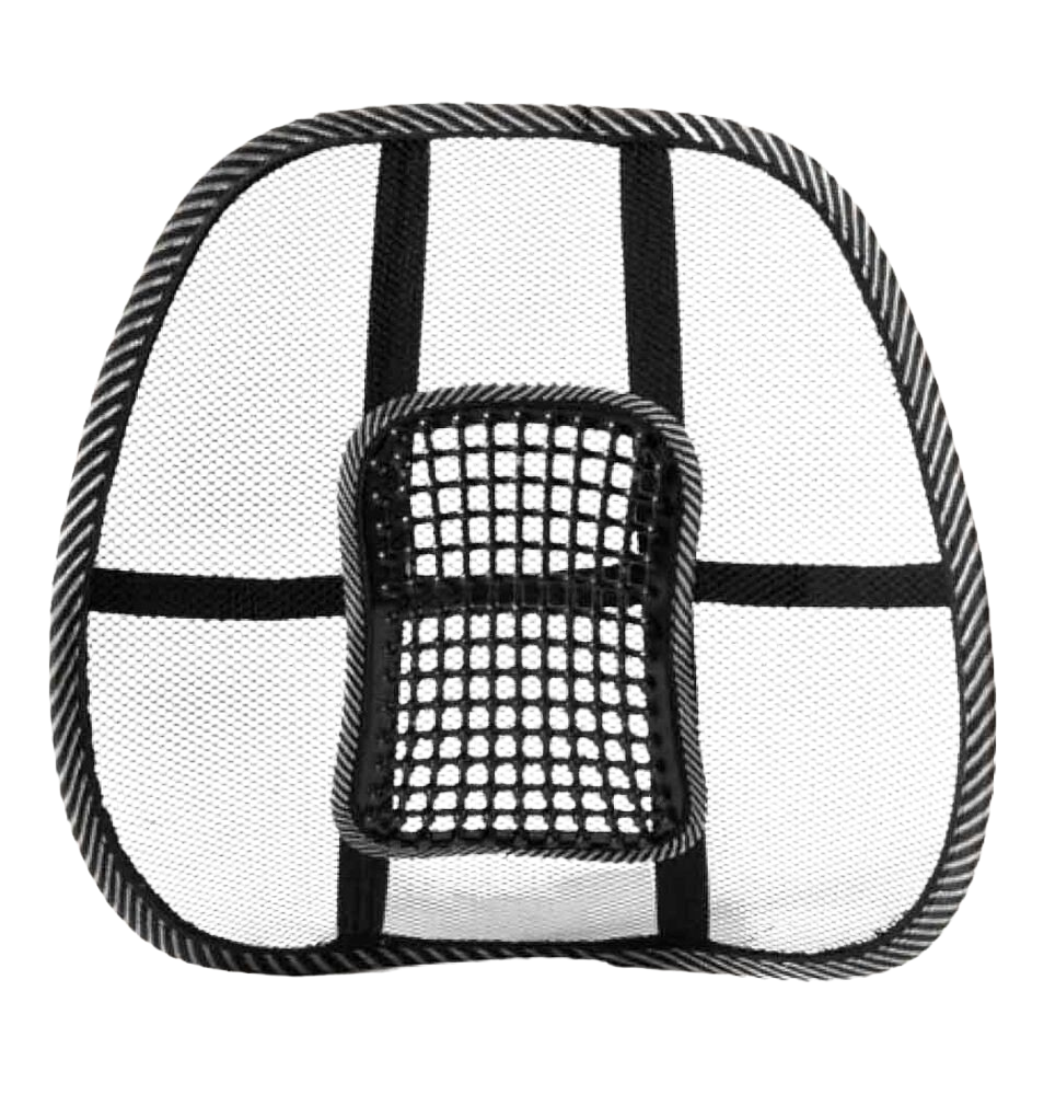 Swedish Posture BackRest Svankstöd