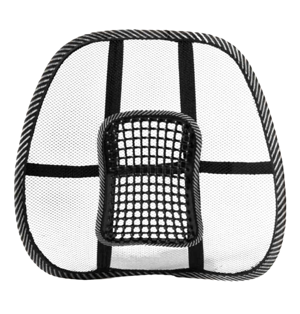 Swedish Posture BackRest Svankstöd