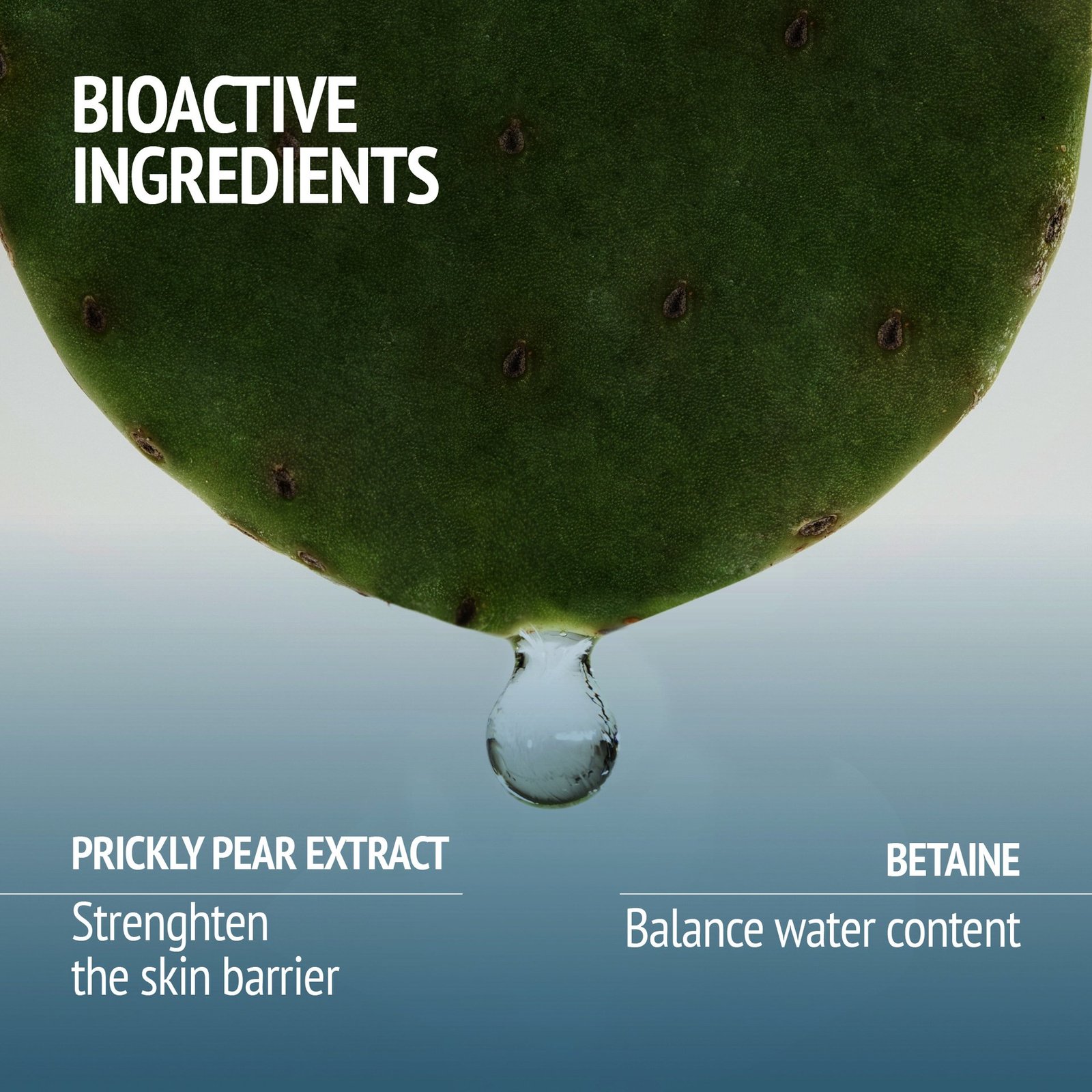 Comfort Zone Hydramemory Face Mist 100ml