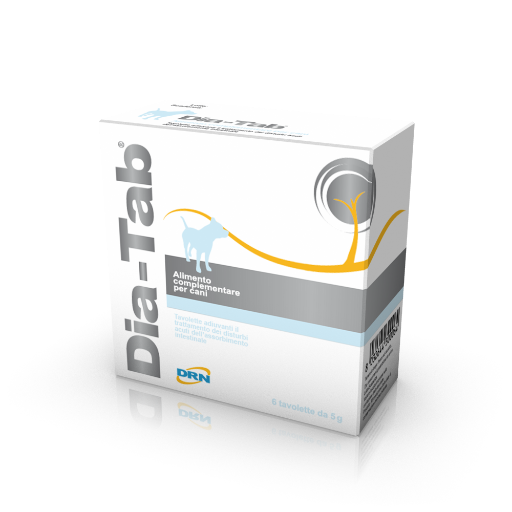 DRN Dia-Tab Tillskottsfoder 6 tabletter för hund
