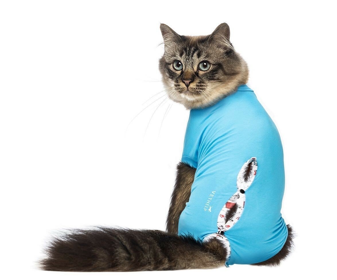 VetHelp Recovery Suit ljusblå /stl 2