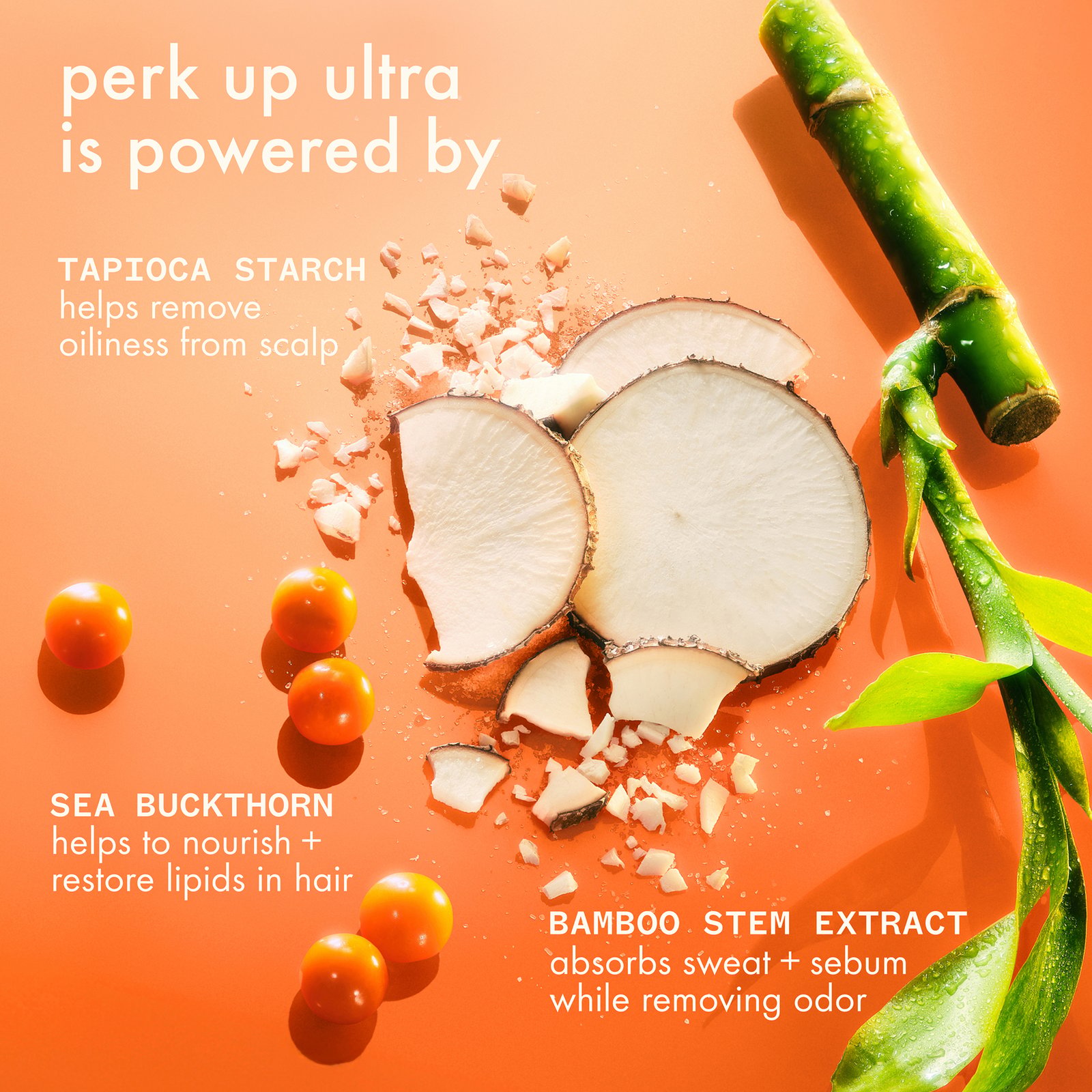 amika Perk Up Ultra Oil Control Dry Shampoo 245 ml