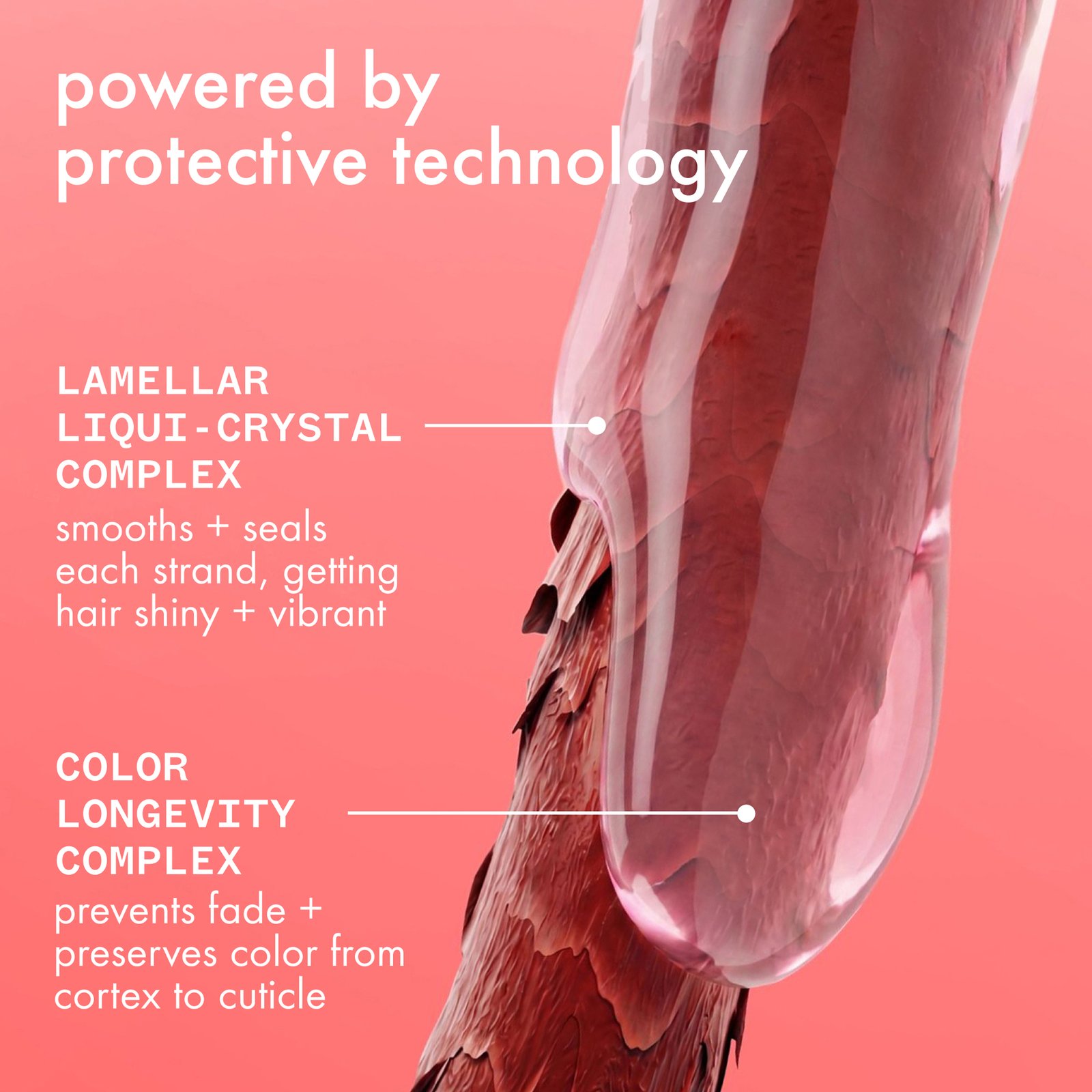 amika The Protector Color Protect + Strengthen Shampoo 275 ml