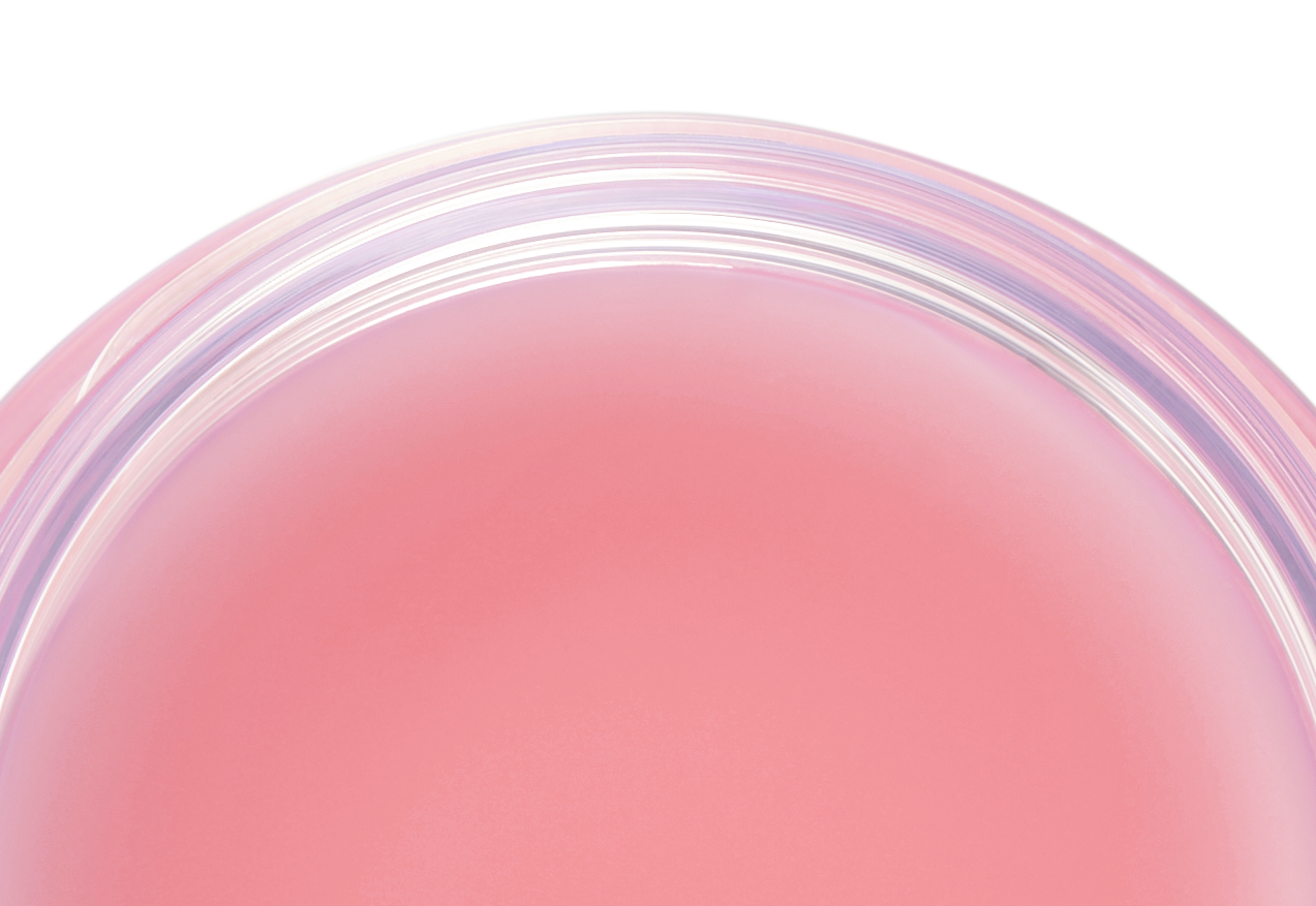 BIOHEAL BOH Probioderm Collagen Volume Lip Balm 15 ml