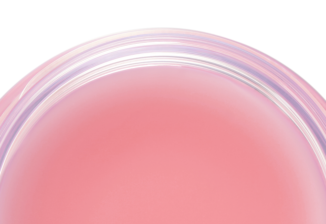 BIOHEAL BOH Probioderm Collagen Volume Lip Balm 15 ml