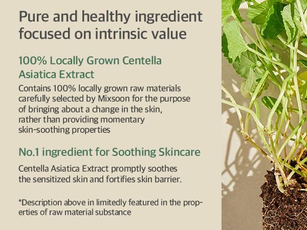 Mixsoon Soondy Centella Asiatica Essence 100ml