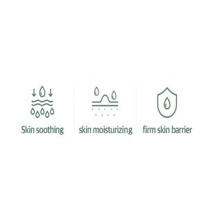 Mixsoon Soondy Centella Asiatica Essence 100ml