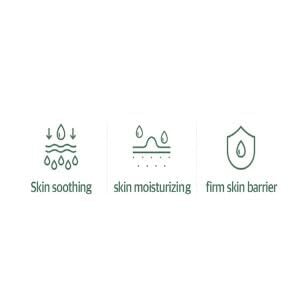 Mixsoon Soondy Centella Asiatica Essence 100ml