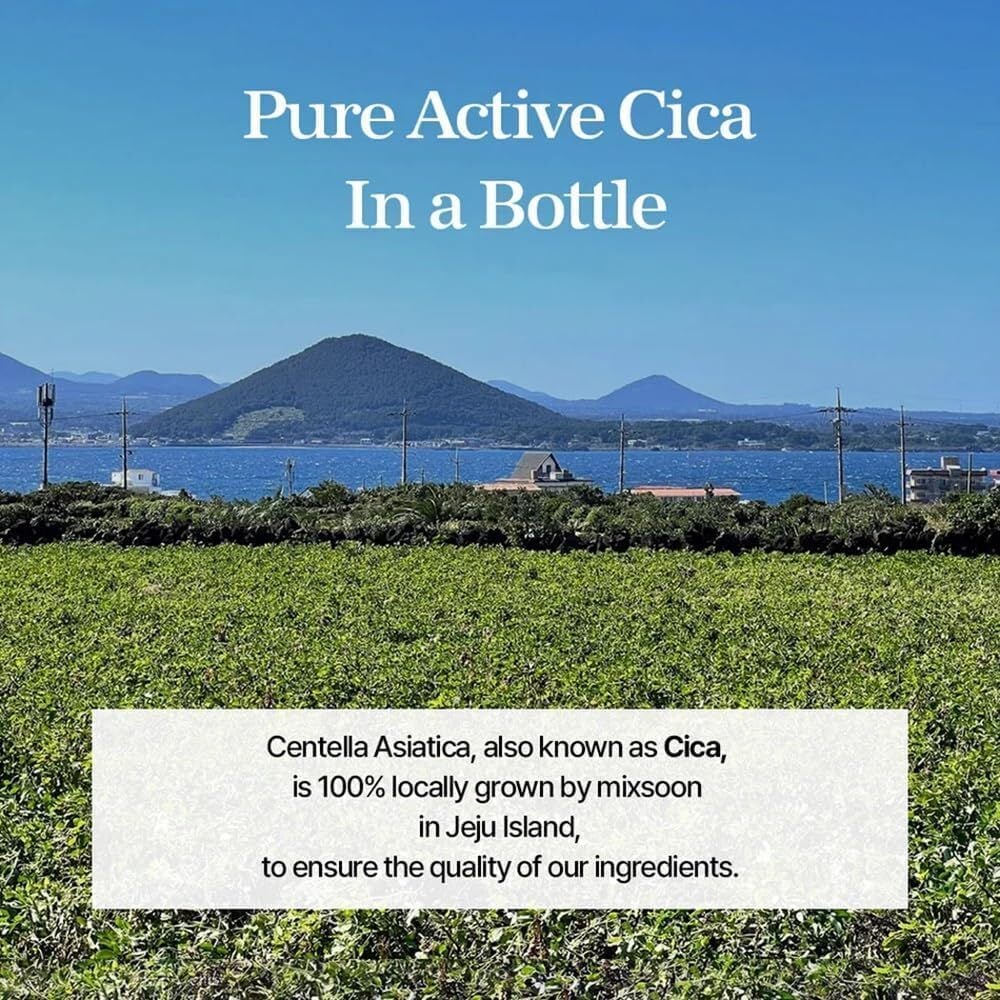 Mixsoon Soondy Centella Asiatica Essence 50ml