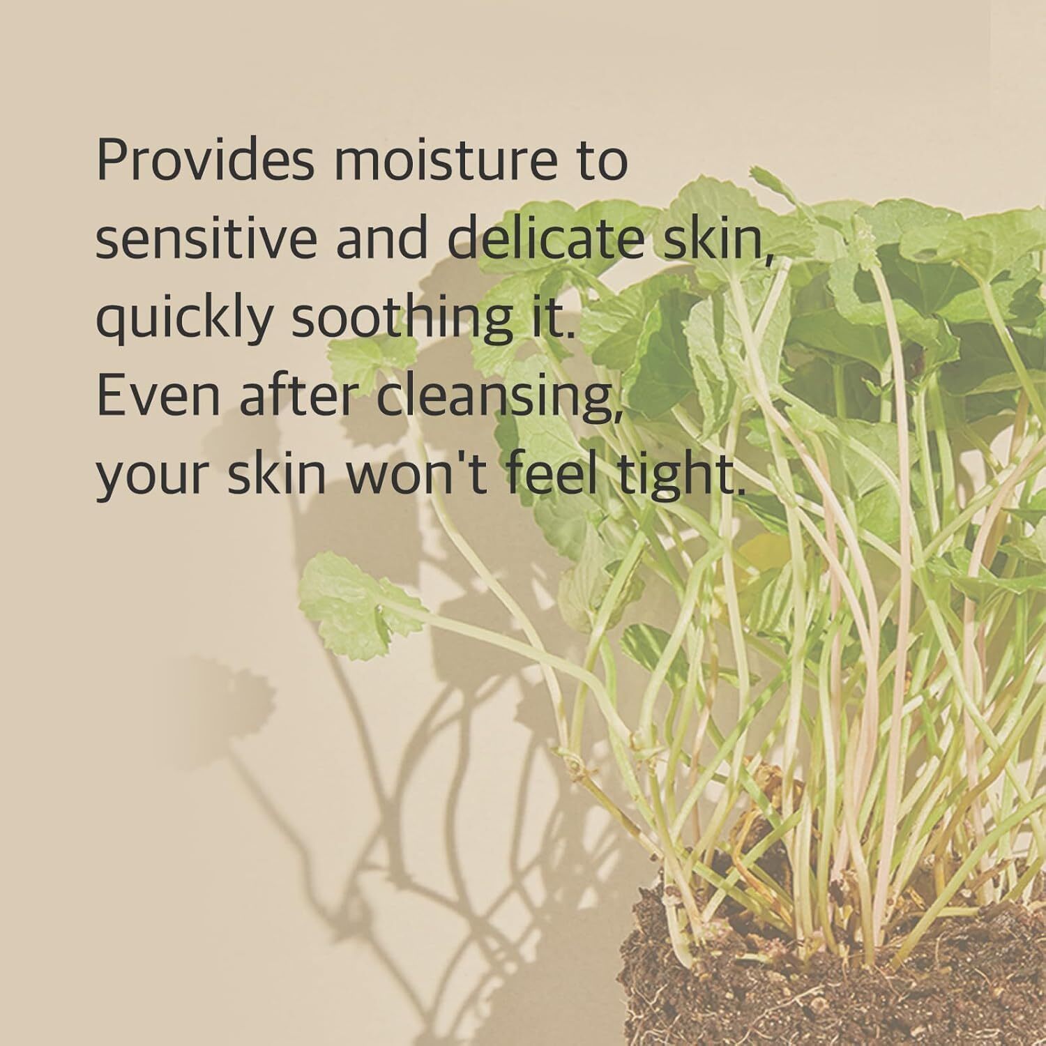 Mixsoon Centella Cleansing Foam 150ml