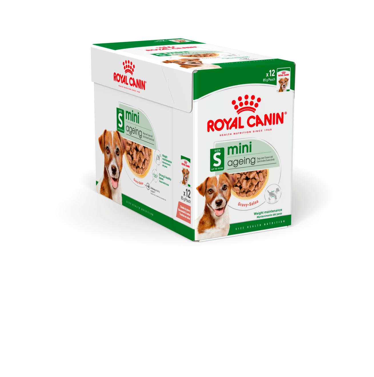 Royal Canin Mini Ageing Gravy våtfoder för hund 12 x 85 g