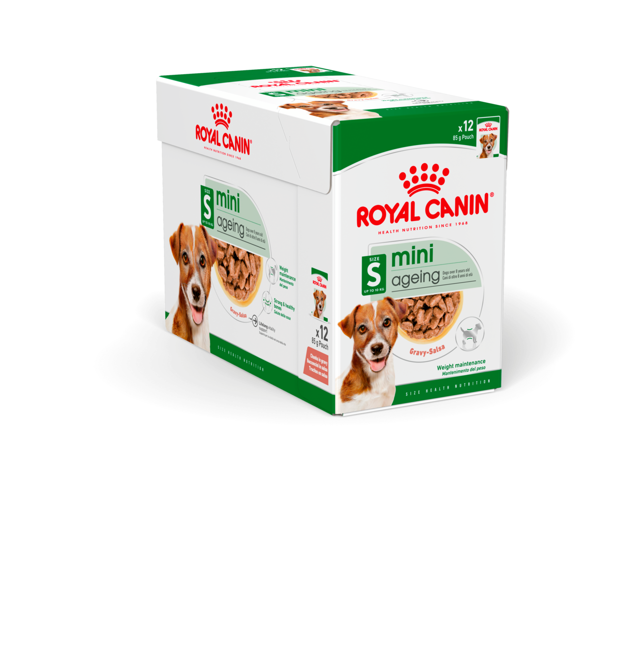 Royal Canin Mini Ageing Gravy våtfoder för hund 12 x 85 g