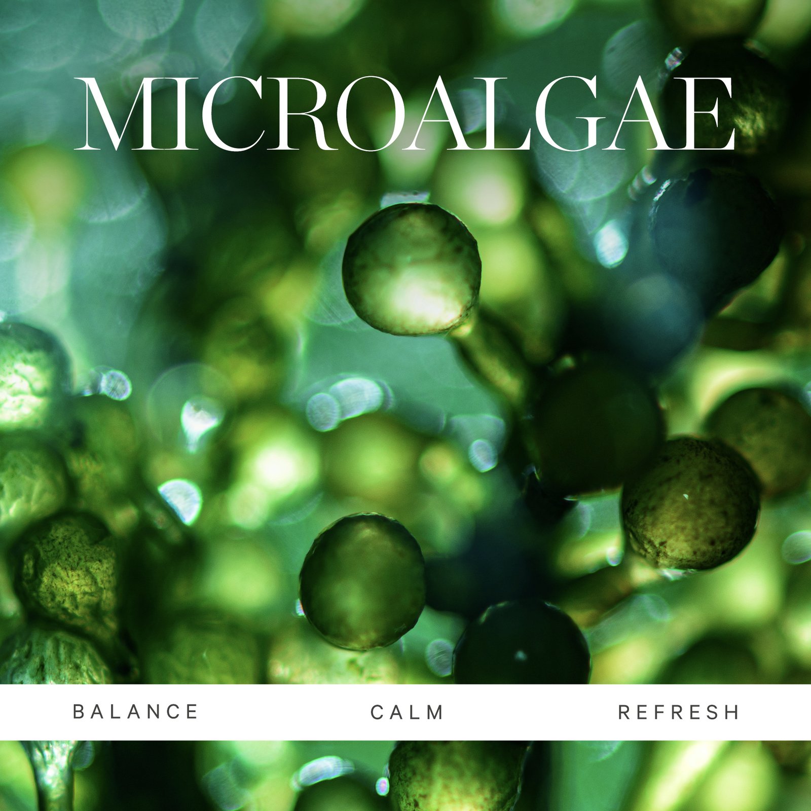 Kora Organics Active Algae Melting Cleansing Balm 100 ml