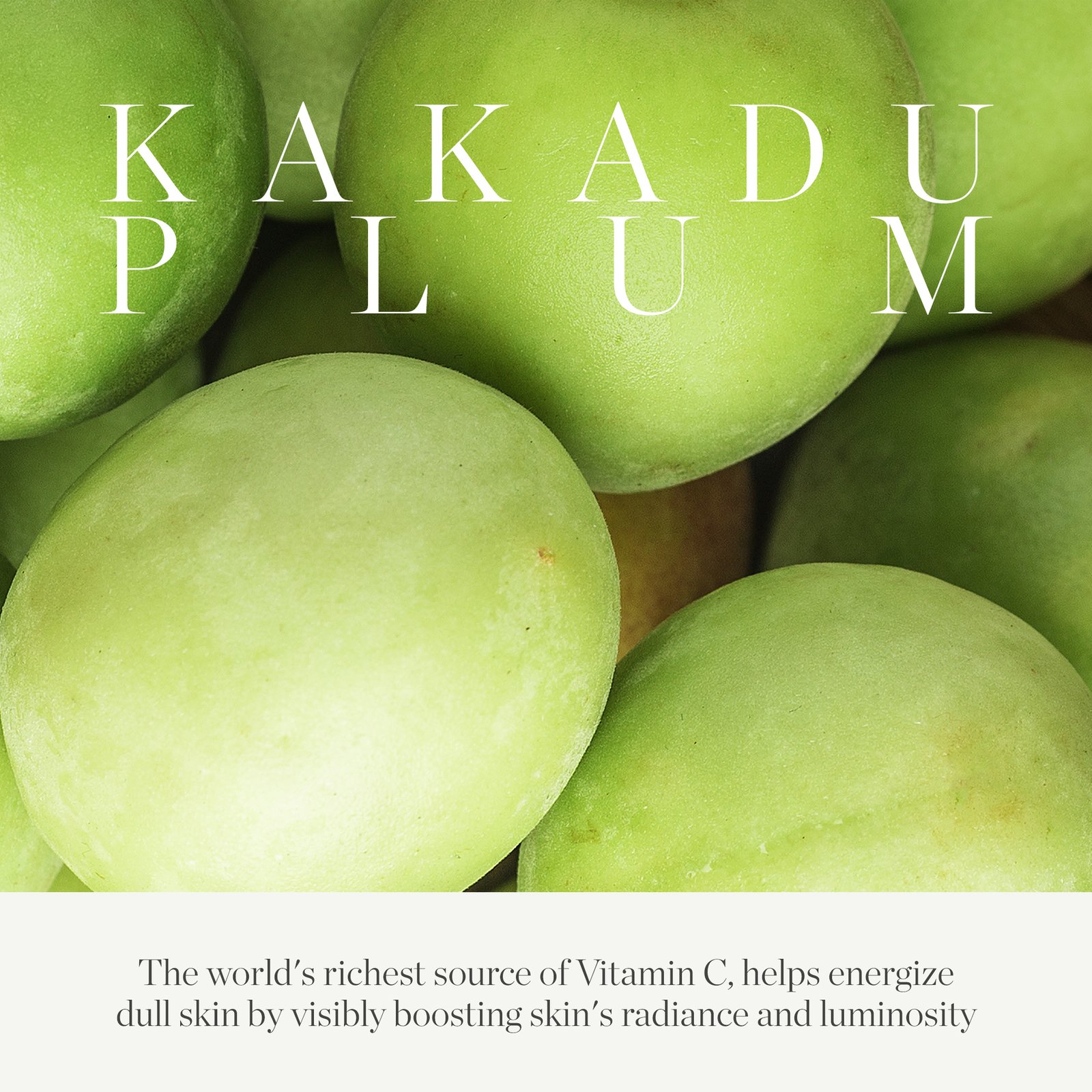 KORA Organics Kakadu Plum Vitamin C Eye Cream - REFILL 15 ml