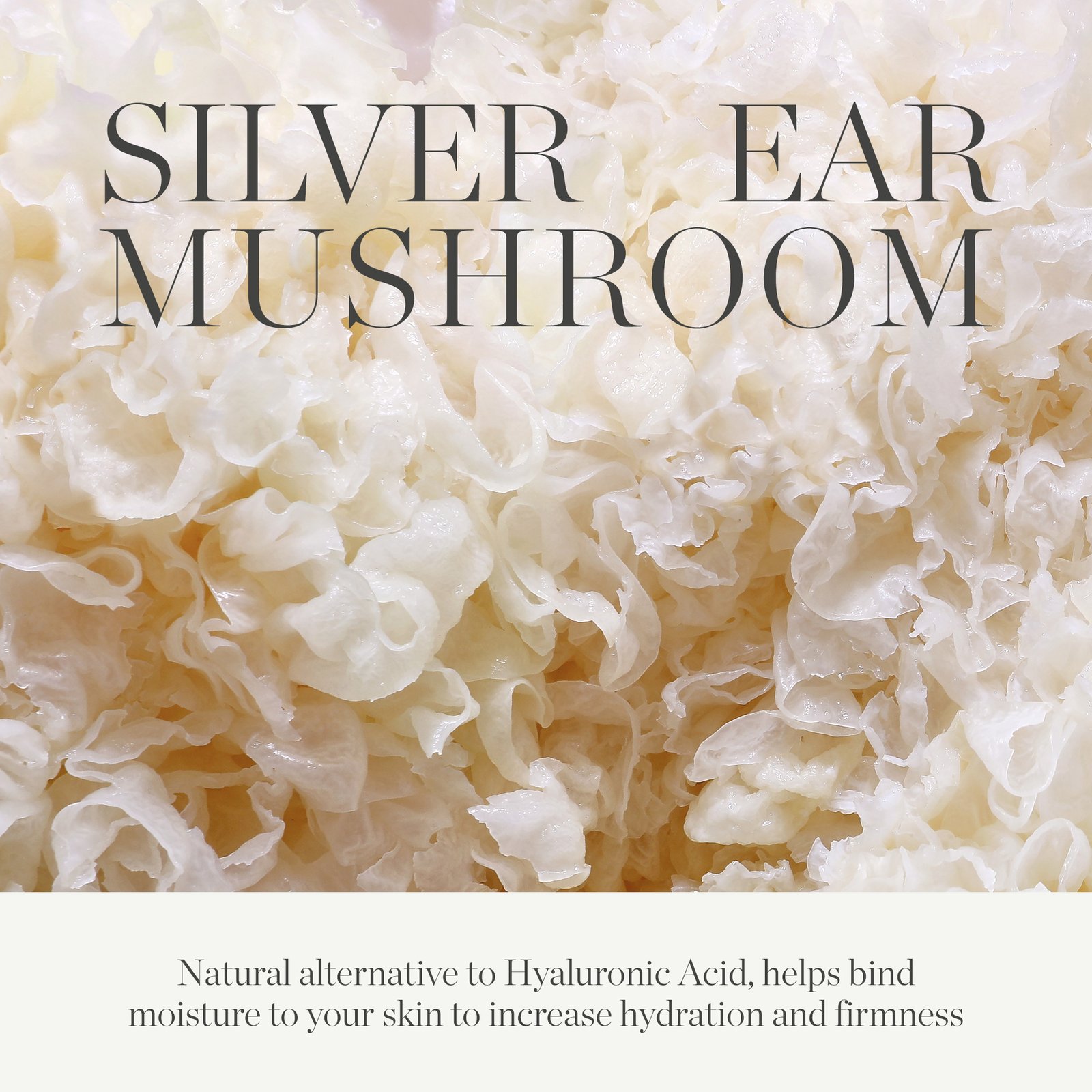 KORA Organics Milky Mushroom Ultra-Hydrating Mask 100 ml