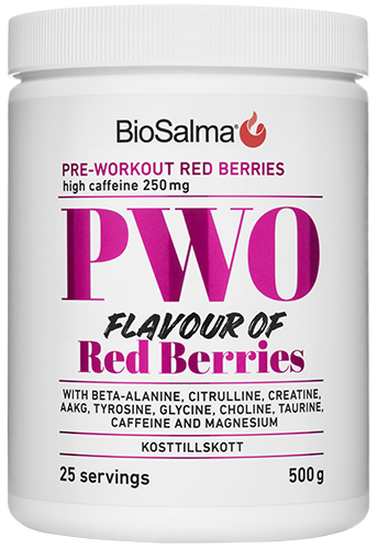 BioSalma PWO Red Berries 500 g